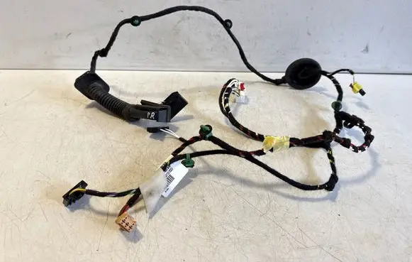 Volkswagen T-Roc Front door wiring loom 2GB971121BN
