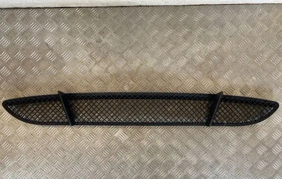 BMW 1 E81 E87 Front bumper lower grill 7118161 22944911