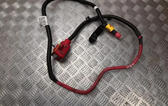 Jeep Compass Other wiring loom 52156245