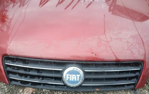 Fiat Punto (188) Front grill