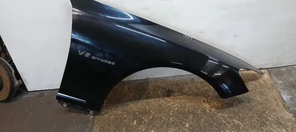 Mercedes-Benz CL C216 Fender
