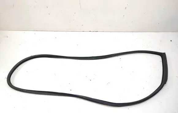 BMW 3 E92 E93 Front door rubber seal 7119091
