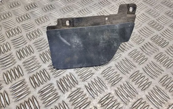 Rear mudguard