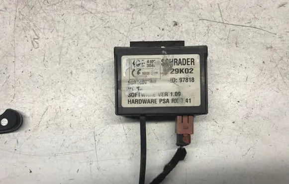 Peugeot 607 Other control units/modules 97818 29K02