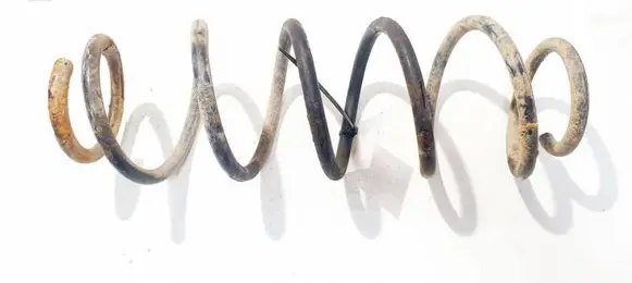 Rear coil spring