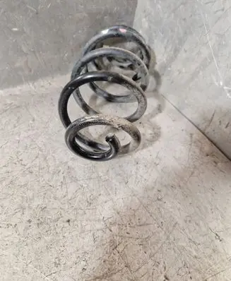 Rear coil spring