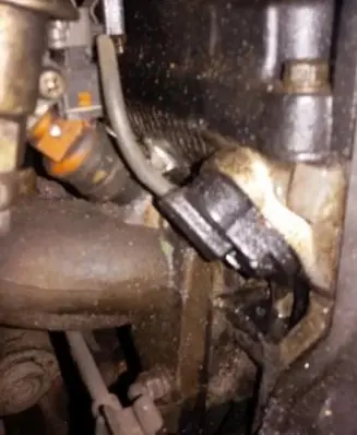 Hyundai Coupe Camshaft position sensor