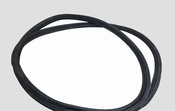 Lexus NX Front door rubber seal