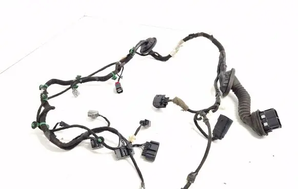 Front door wiring loom