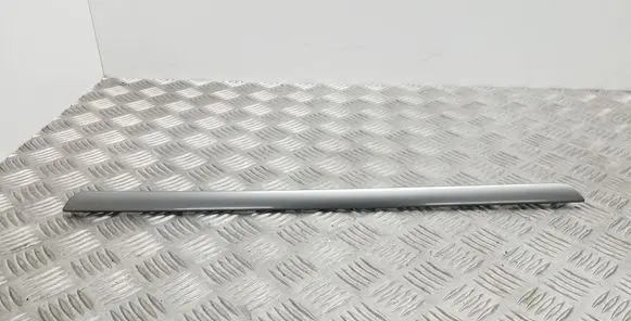 Volkswagen Golf V Front door trim bar 1K4867440