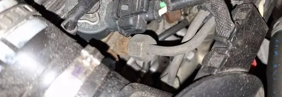 Citroen Xsara Picasso Fuel injector 0445110076 9641742880
