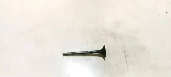 Volkswagen Golf V Valve 