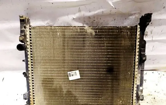 Renault Kangoo II Coolant radiator 8200455801