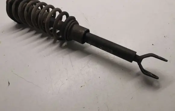 Mercedes-Benz CLS C219 Front shock absorber with coil spring