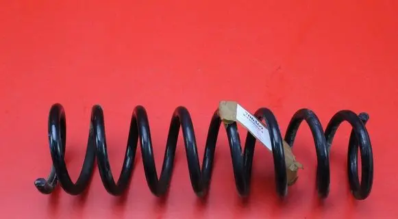 Ford Kuga II Rear coil spring