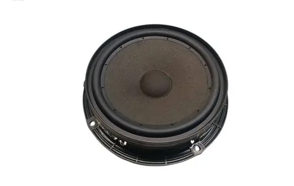 Rear door speaker