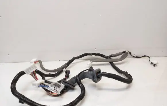 Front door wiring loom