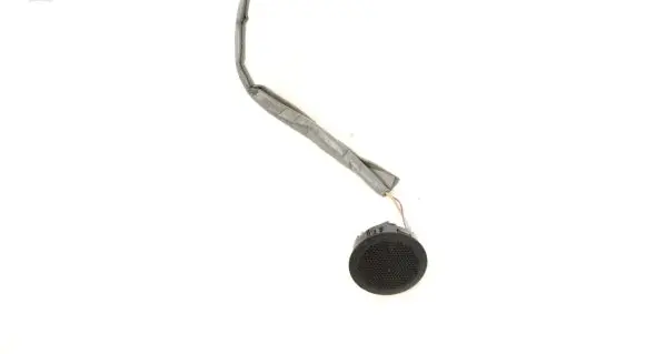 Front door speaker