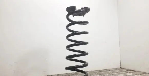 Rear coil spring