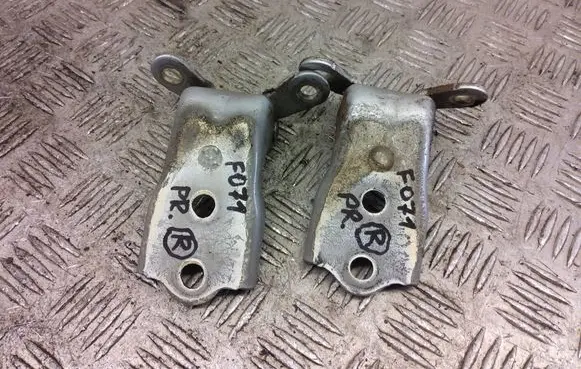 Chevrolet Captiva Front door hinge set 