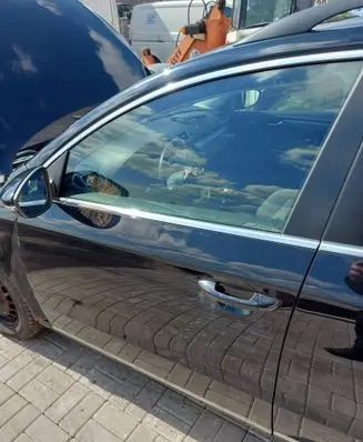 Volkswagen PASSAT B7 Front door 