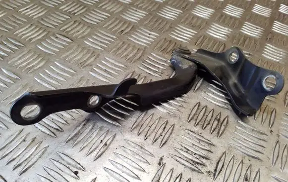 Toyota RAV 4 (XA20) Engine bonnet/hood hinges