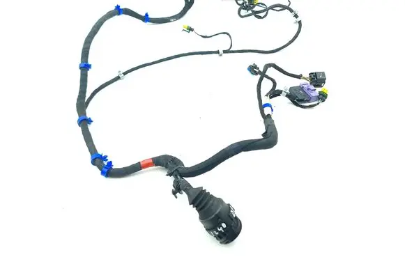 Front door wiring loom