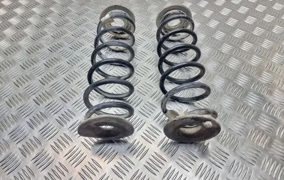 Rear coil spring
