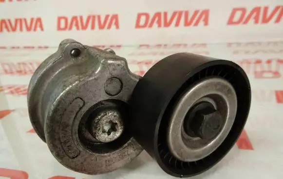 Suzuki Grand Vitara II Timing belt tensioner pulley 05061000 55215811