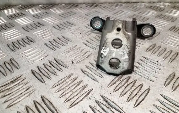 Nissan Juke I F15 Rear door lower hinge