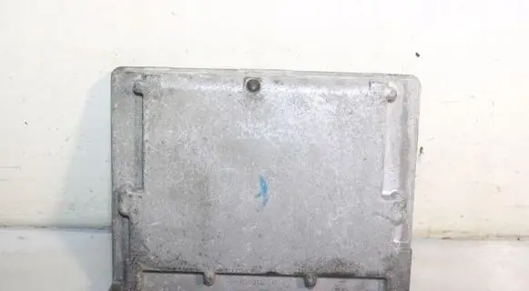 Engine control unit/module ECU