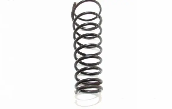 Front coil spring