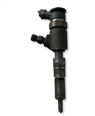 Peugeot 307 Fuel injector 0445110135