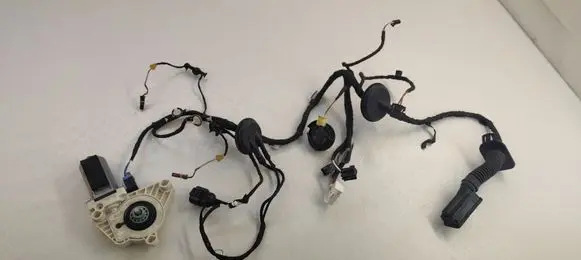 Front door wiring loom
