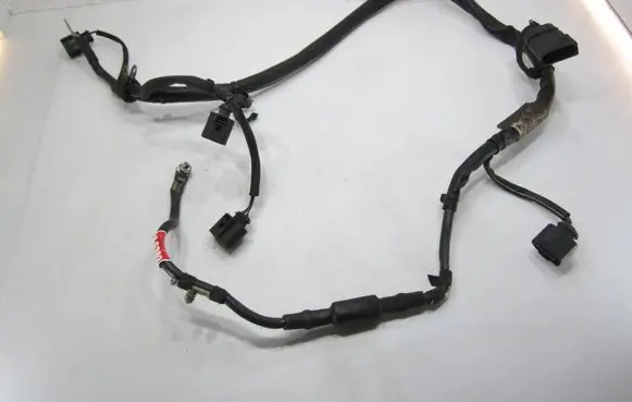 Volkswagen PASSAT B7 Wires (generator/alternator) 3AA971230B
