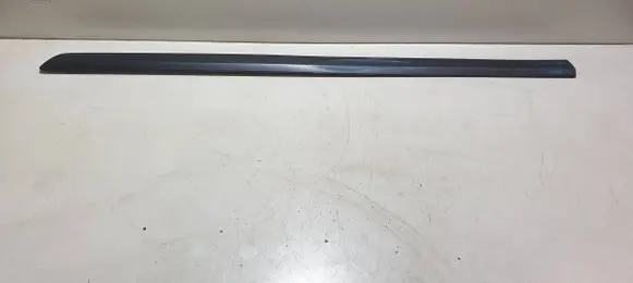 Front door trim (molding)