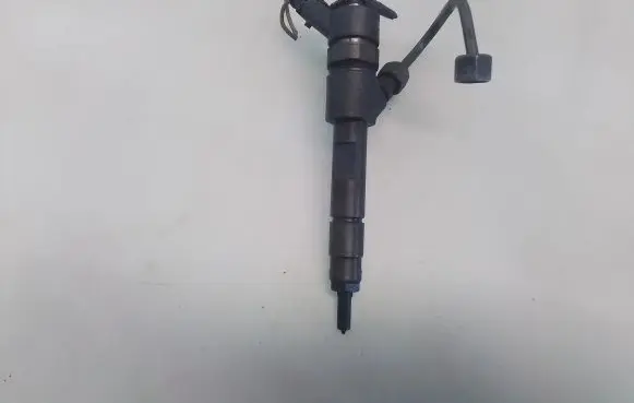 Renault Megane II Fuel injector 8200389369