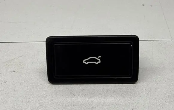 Volkswagen PASSAT B6 Tailgate opening switch 3C0959831
