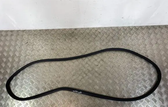 Rear door rubber seal (on body)