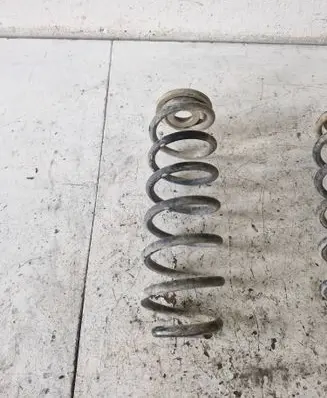 Rear coil spring