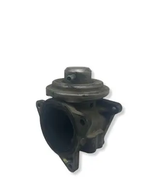 Volkswagen Touran I EGR valve 038131501S