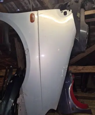 Renault Scenic I Fender