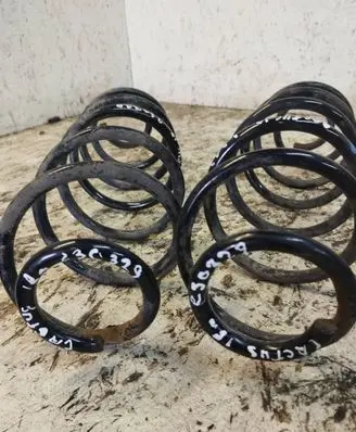 Citroen C4 Cactus Rear coil spring