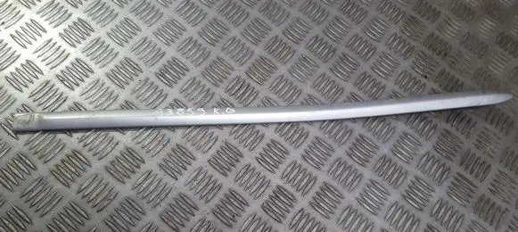Mazda 3 I Rear door trim (molding)