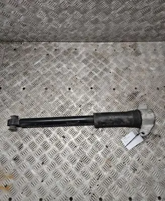 Rear shock absorber/damper