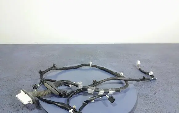 Lexus IS III XE30 Other wiring loom 82153-53152A