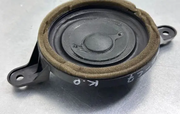 Front door speaker