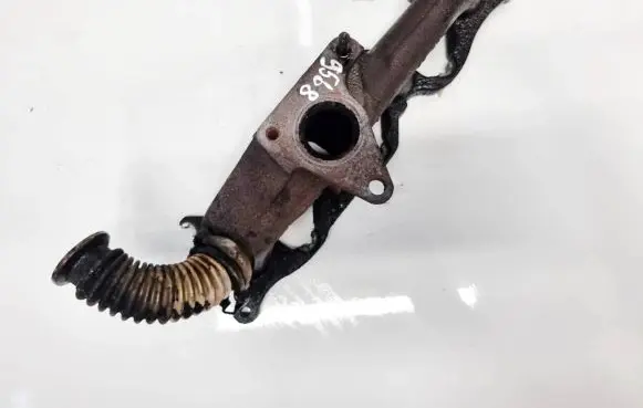 Exhaust manifold