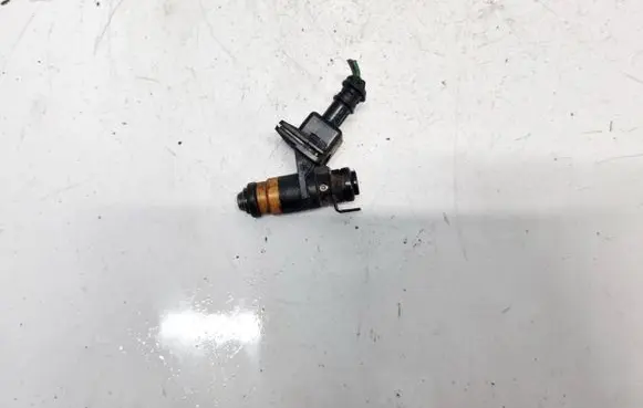 Renault Scenic I Fuel injector H029611 ITG048