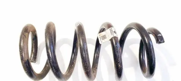 Rear coil spring